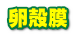 卵殻膜